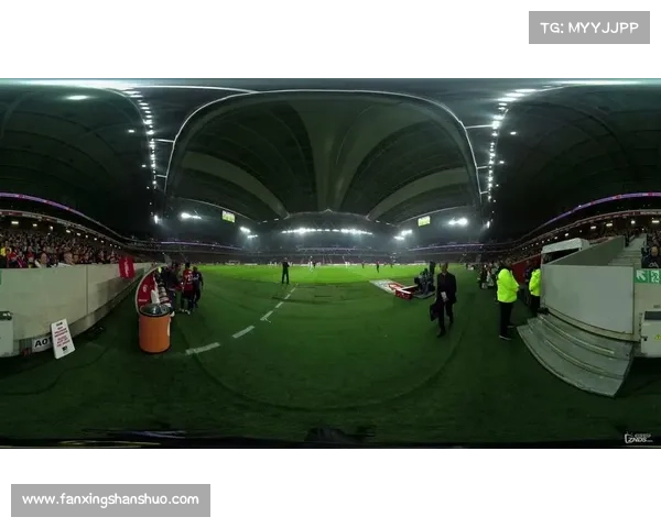 全景全面透视法甲冠军标志背后丰富象征意义的系统化深度解读指南